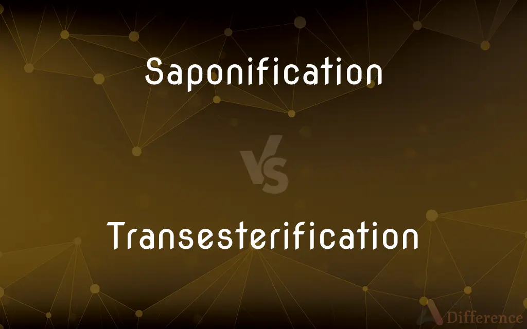 Saponification vs. Transesterification — What's the Difference?