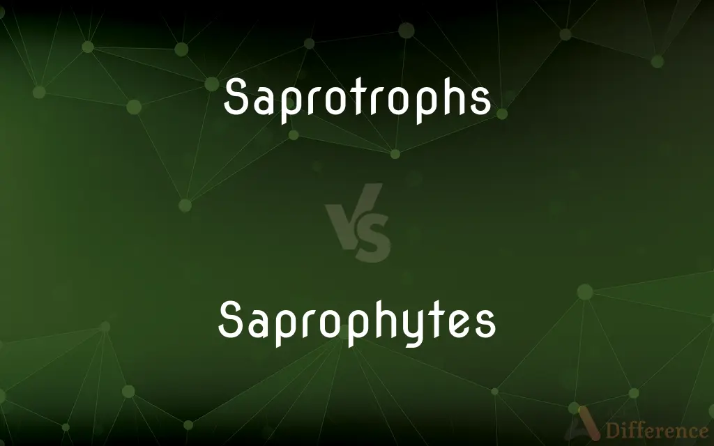 Saprotrophs vs. Saprophytes — What's the Difference?