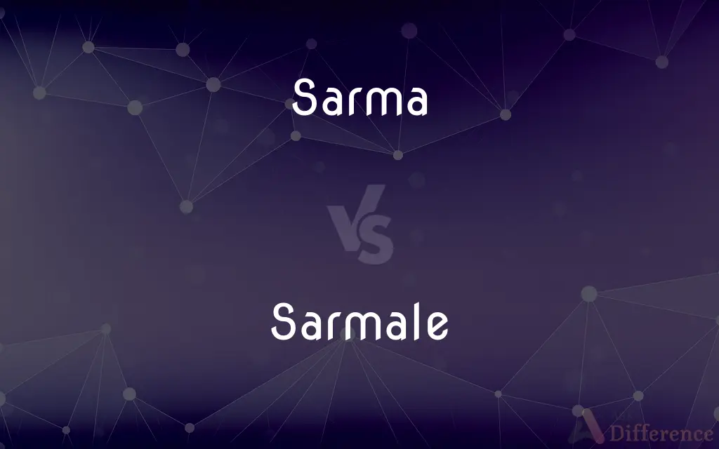 Sarma vs. Sarmale — What's the Difference?