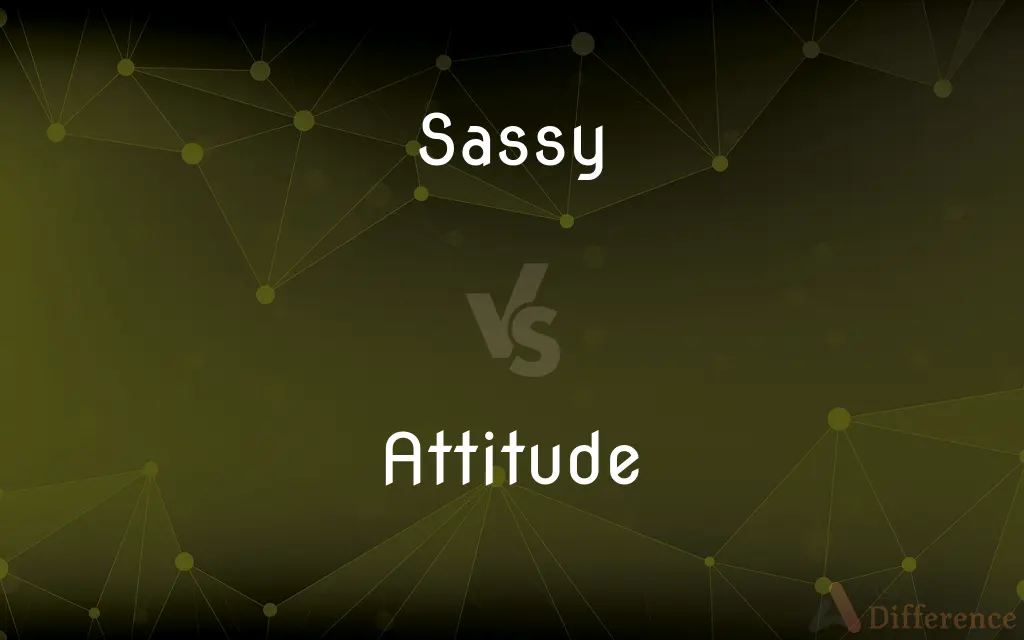 Sassy vs. Attitude — What's the Difference?