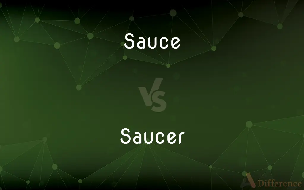 Sauce vs. Saucer — What's the Difference?