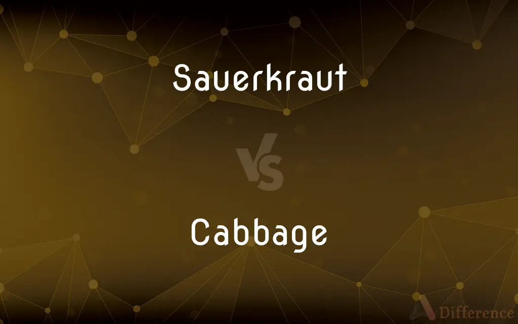 Sauerkraut vs. Cabbage — What's the Difference?