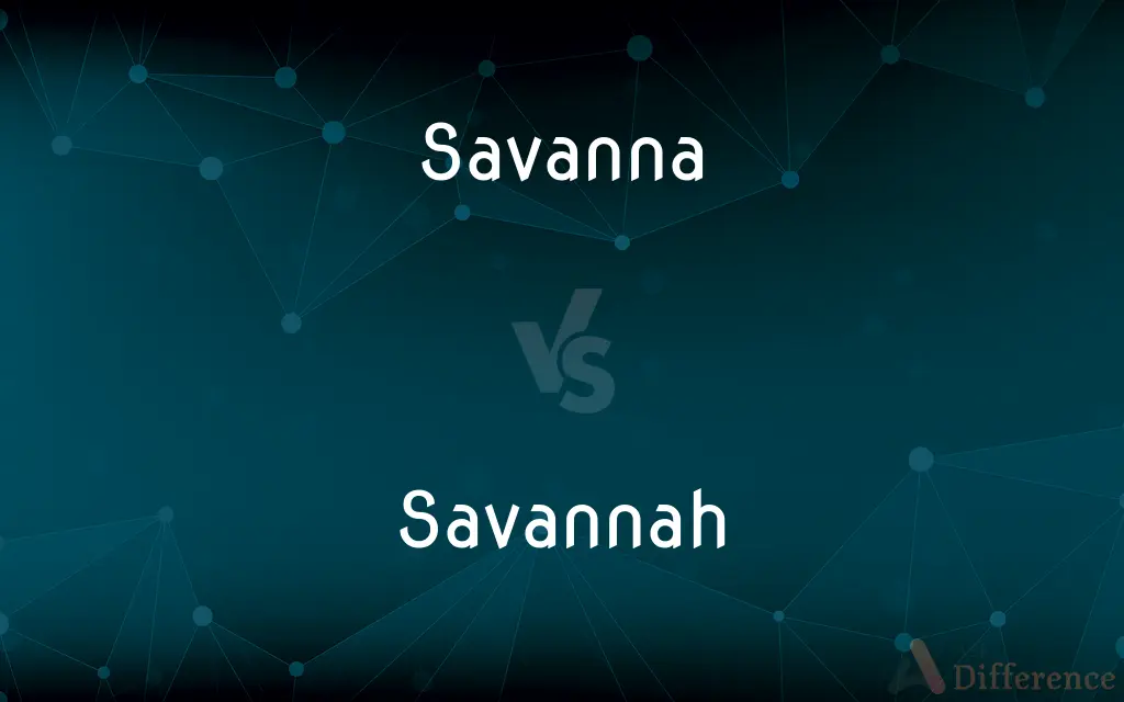 Savanna vs. Savannah — What's the Difference?