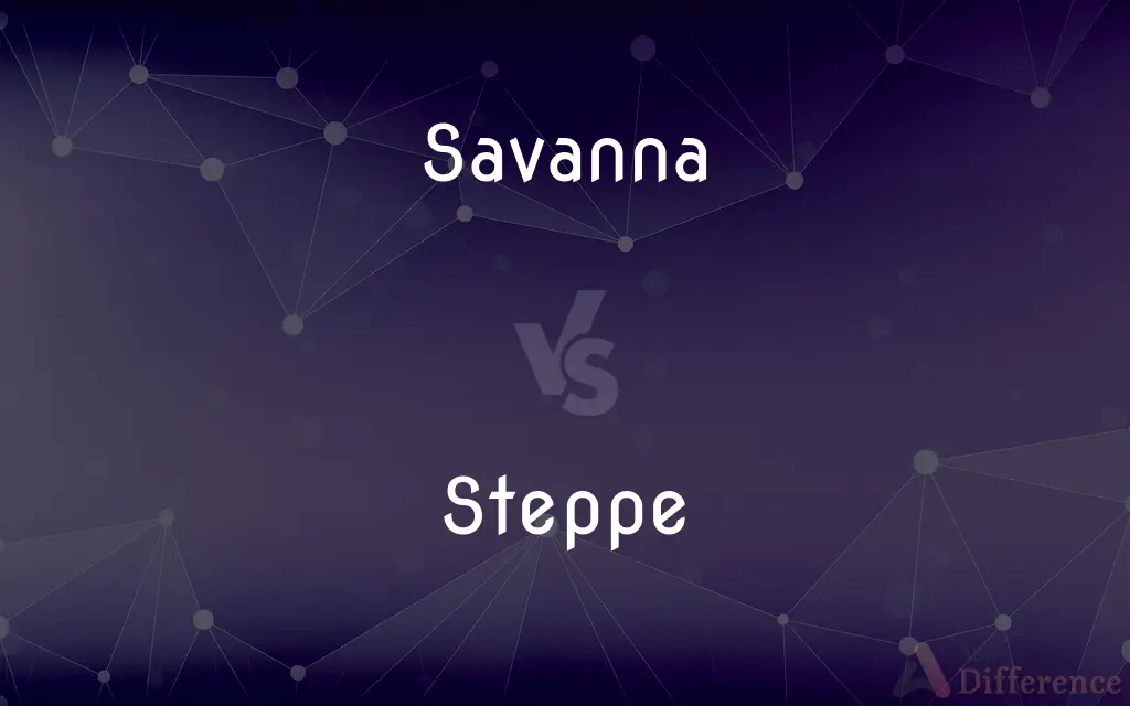 Savanna vs. Steppe — What's the Difference?