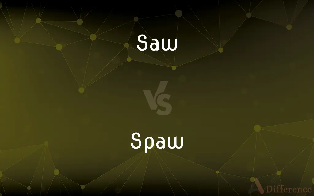Saw vs. Spaw — What's the Difference?