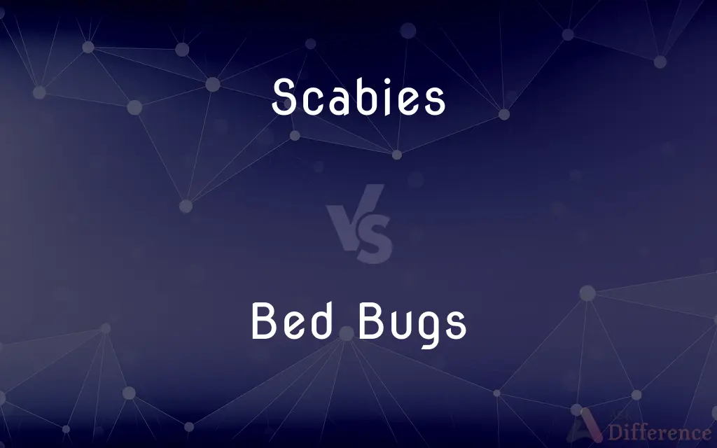 Scabies vs. Bed Bugs — What's the Difference?
