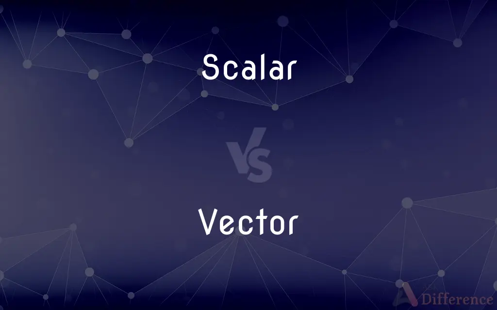 Scalar vs. Vector — What's the Difference?