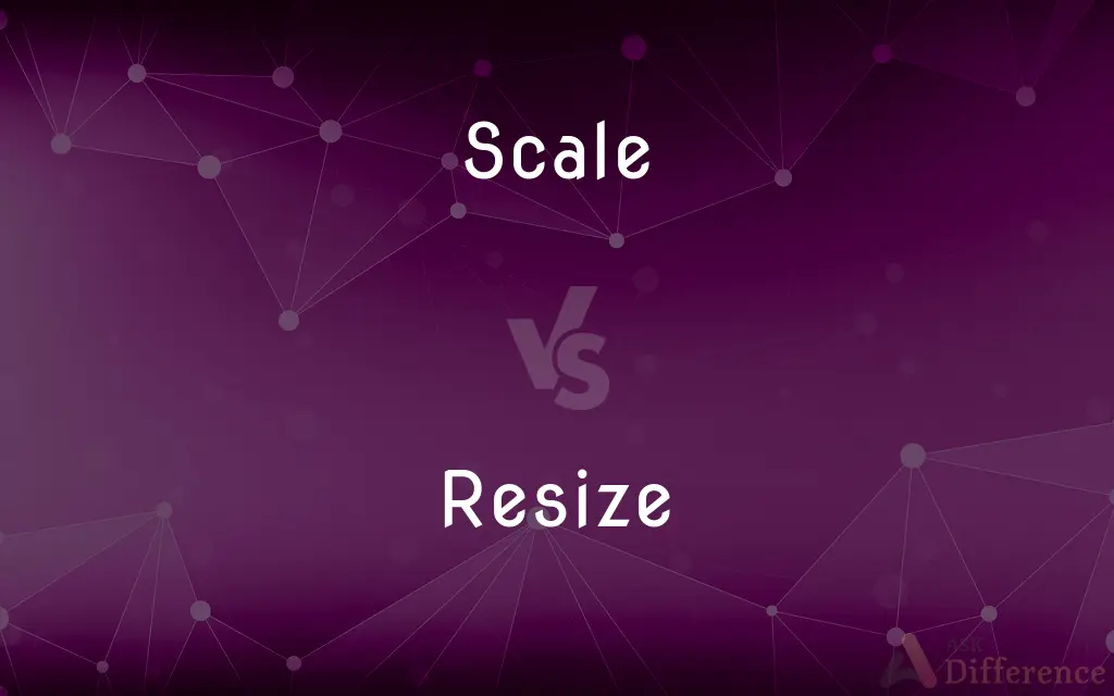 Scale vs. Resize — What's the Difference?