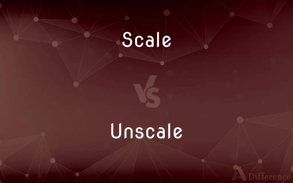 Scale vs. Unscale — What's the Difference?