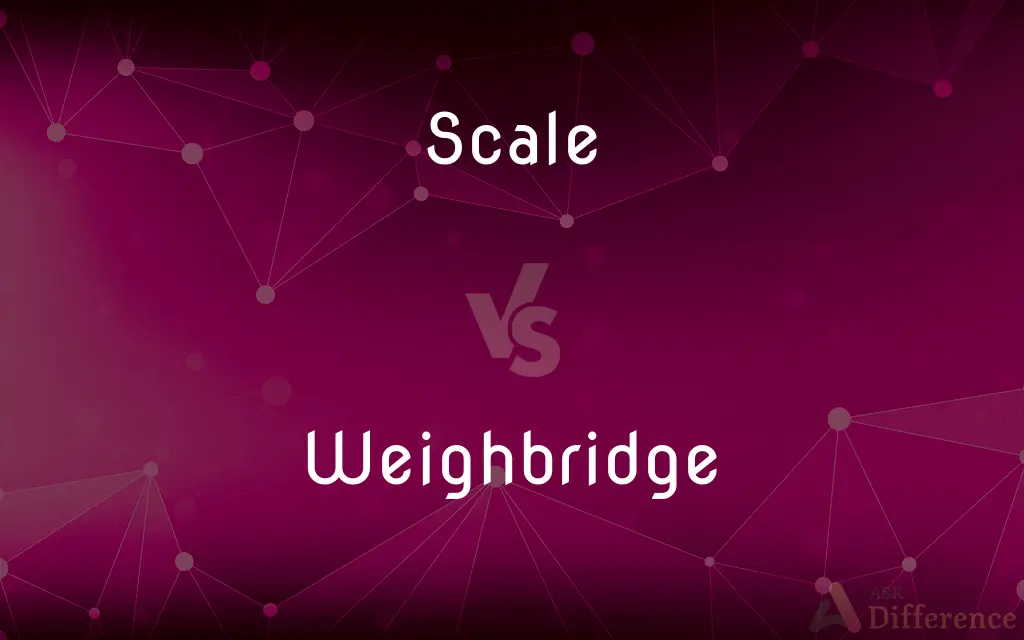 Scale vs. Weighbridge — What's the Difference?