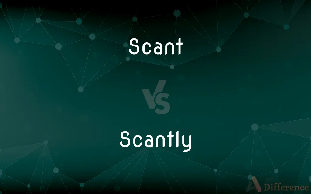 Scant vs. Scantly — What's the Difference?