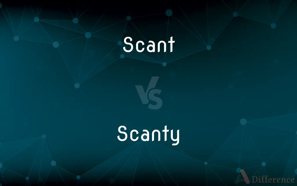 Scant vs. Scanty — What's the Difference?