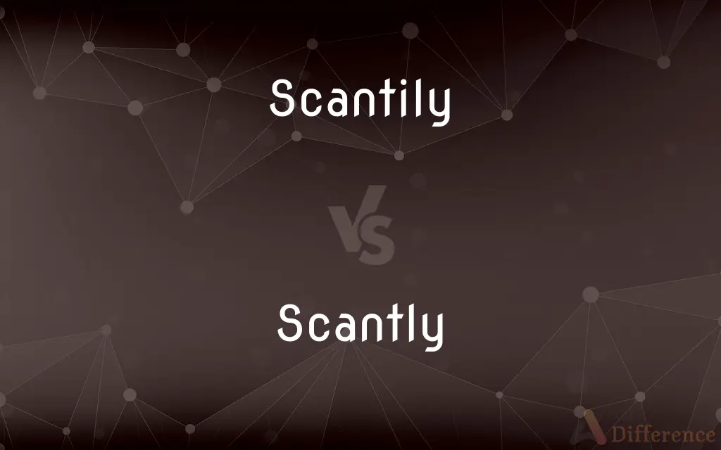 Scantily vs. Scantly — What's the Difference?