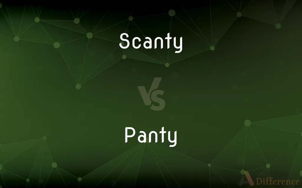 Scanty vs. Panty — What's the Difference?