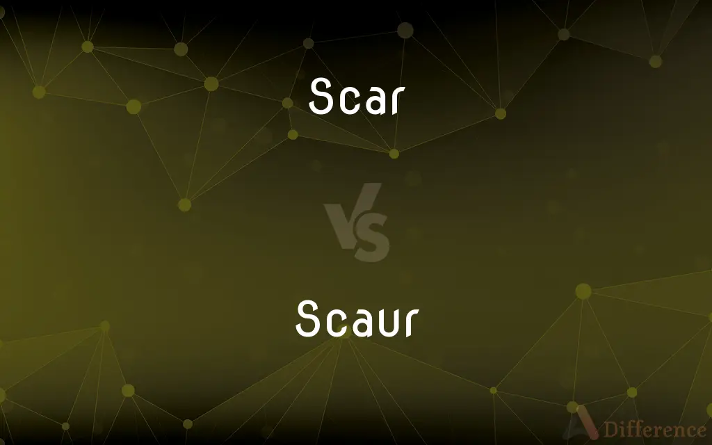 Scar vs. Scaur — What's the Difference?