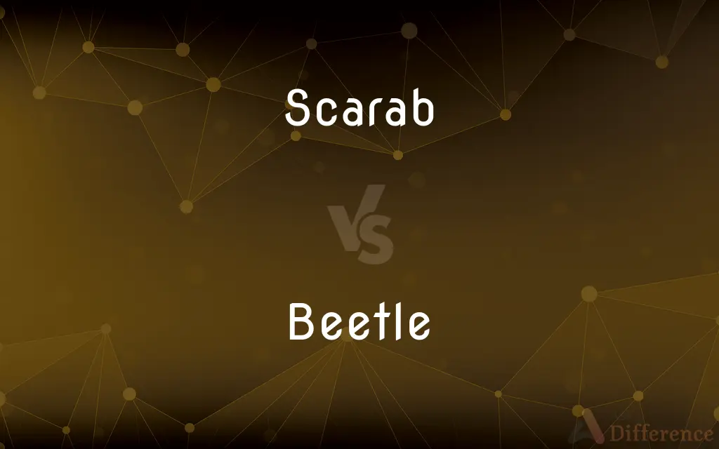 Scarab vs. Beetle — What's the Difference?
