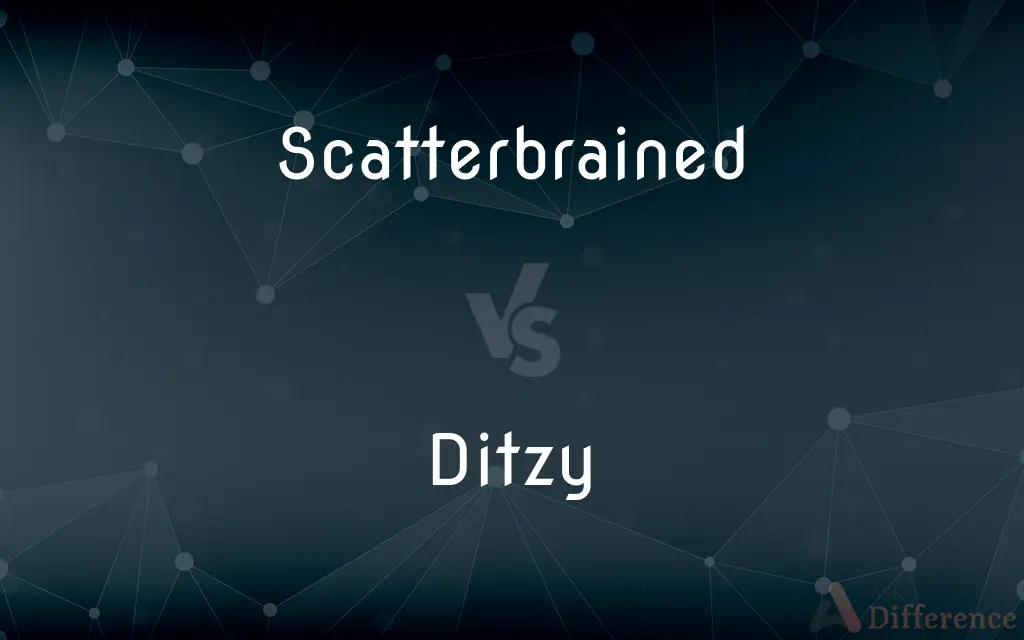 Scatterbrained vs. Ditzy — What's the Difference?