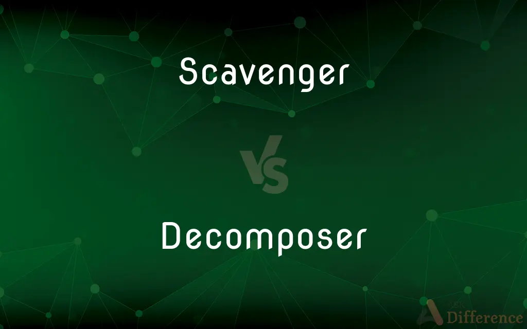 Scavenger vs. Decomposer — What's the Difference?