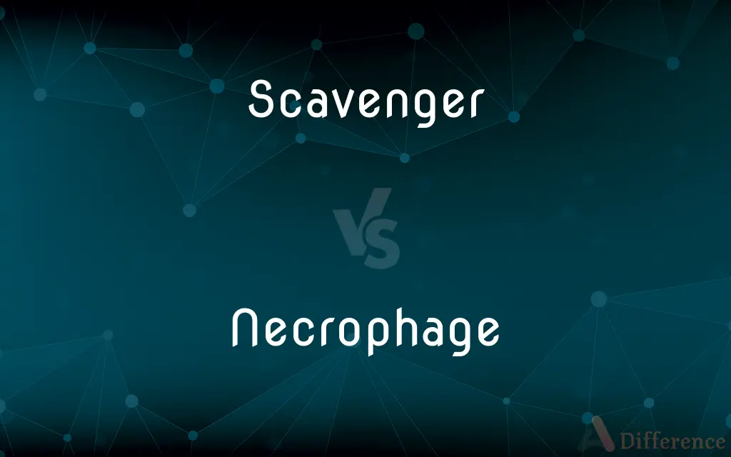 Scavenger vs. Necrophage — What's the Difference?