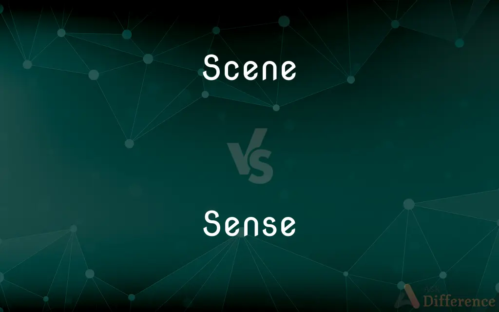 Scene vs. Sense — What's the Difference?