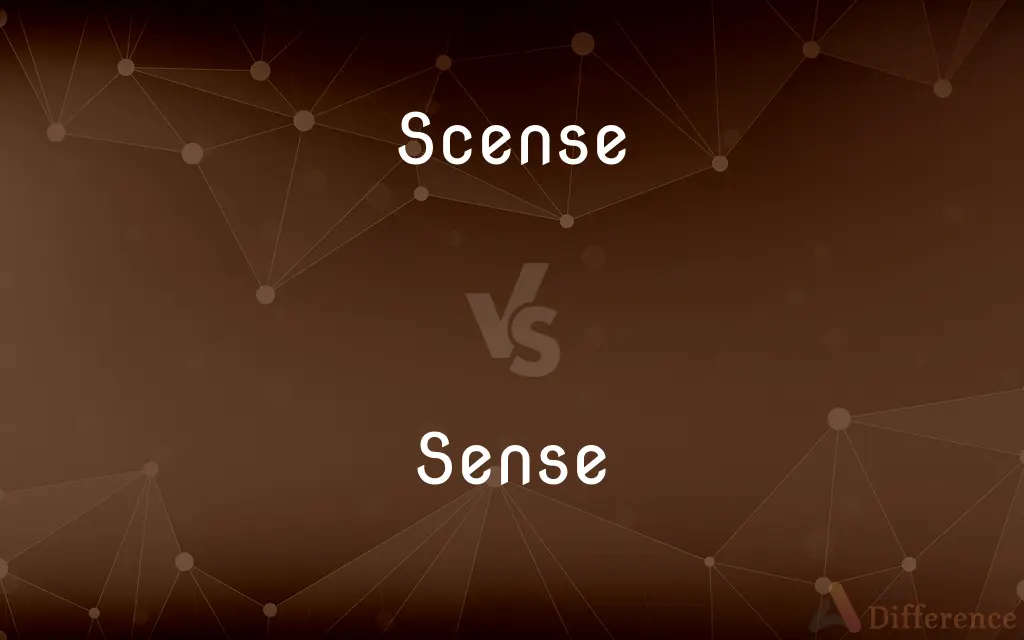 Scense vs. Sense — Which is Correct Spelling?