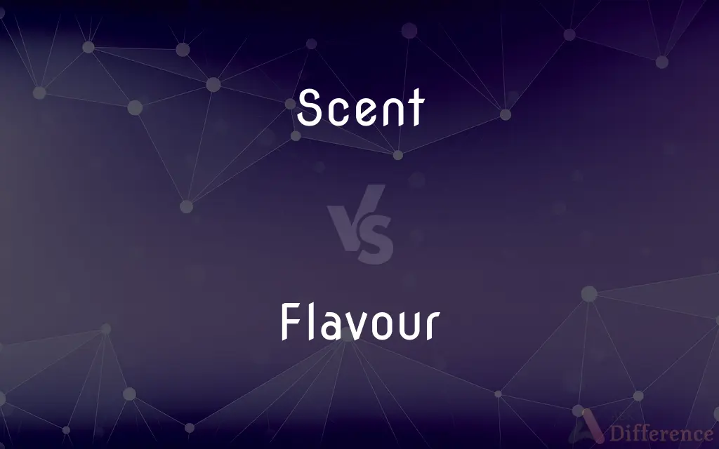 Scent vs. Flavour — What's the Difference?