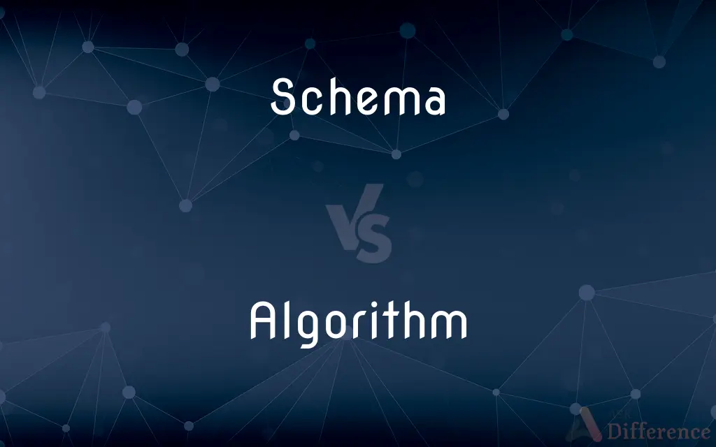 Schema vs. Algorithm — What's the Difference?