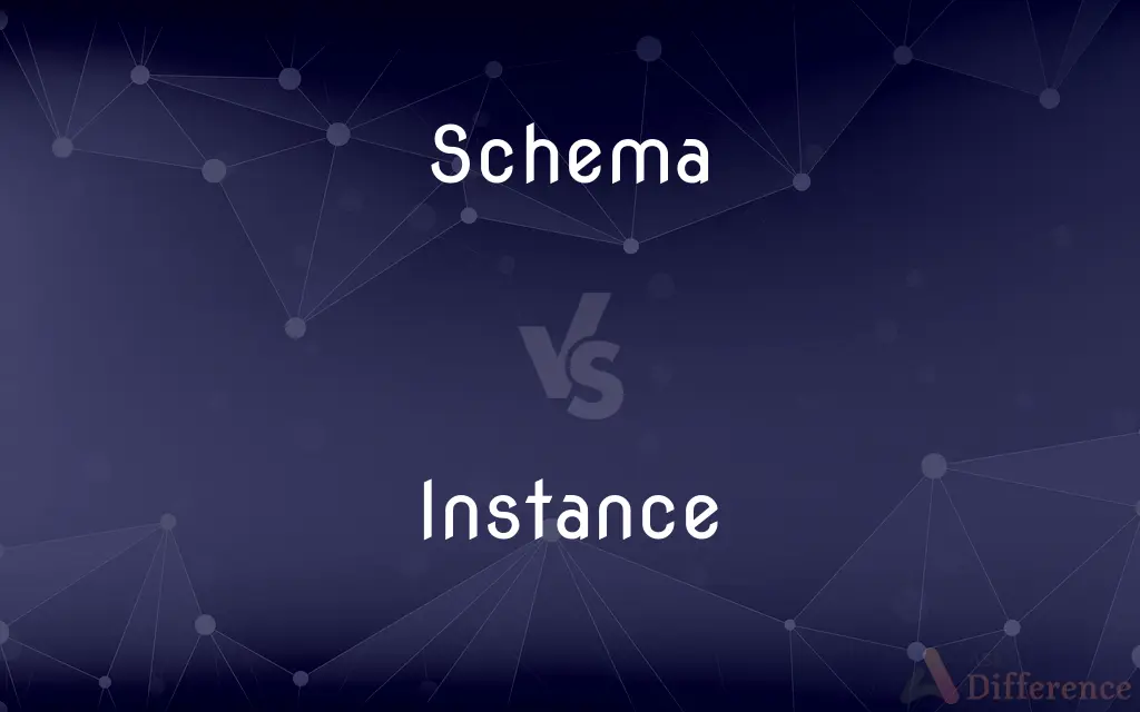 Schema vs. Instance — What's the Difference?