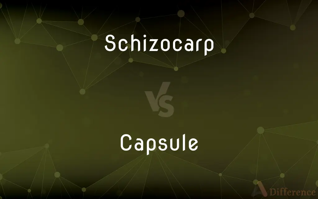 Schizocarp vs. Capsule — What's the Difference?