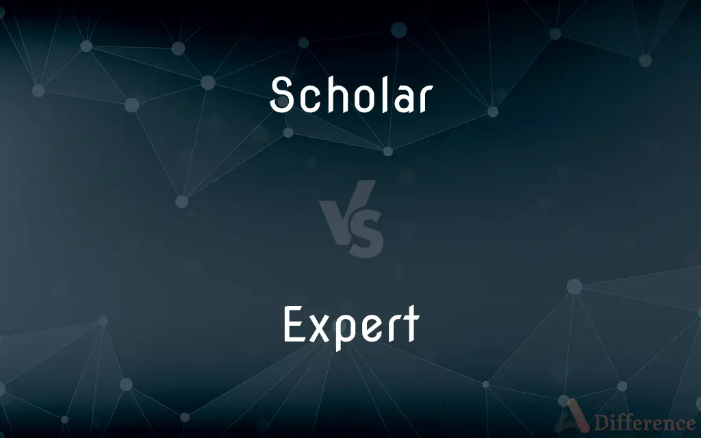Scholar vs. Expert — What's the Difference?