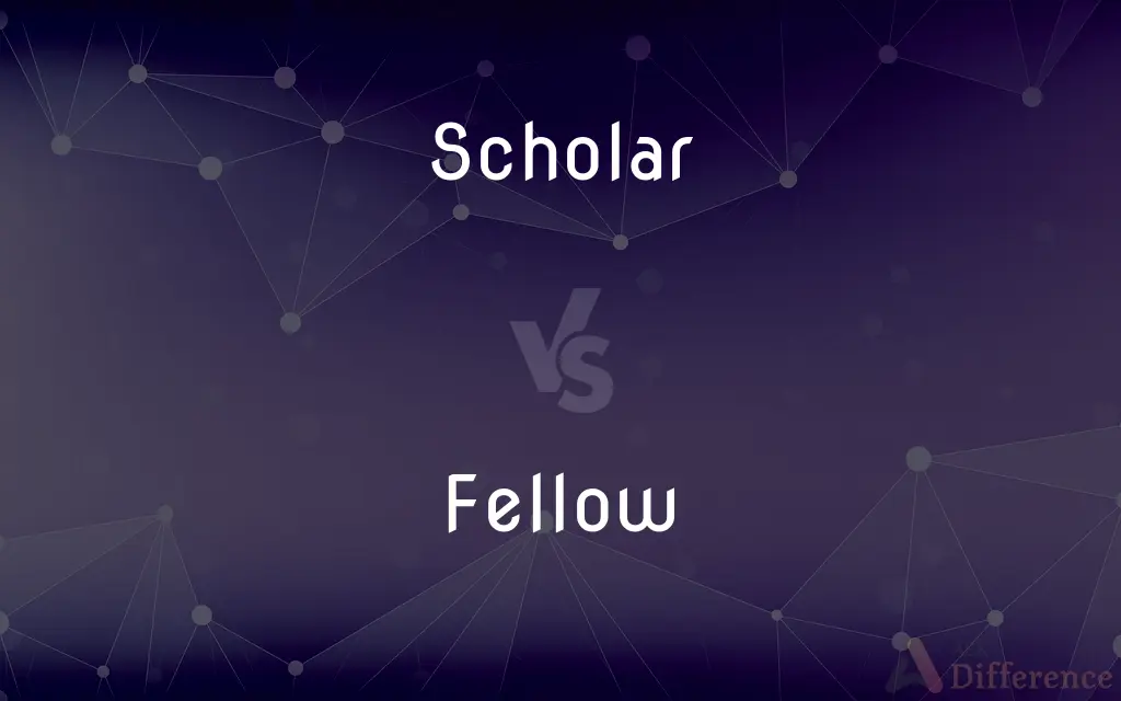 Scholar vs. Fellow — What's the Difference?