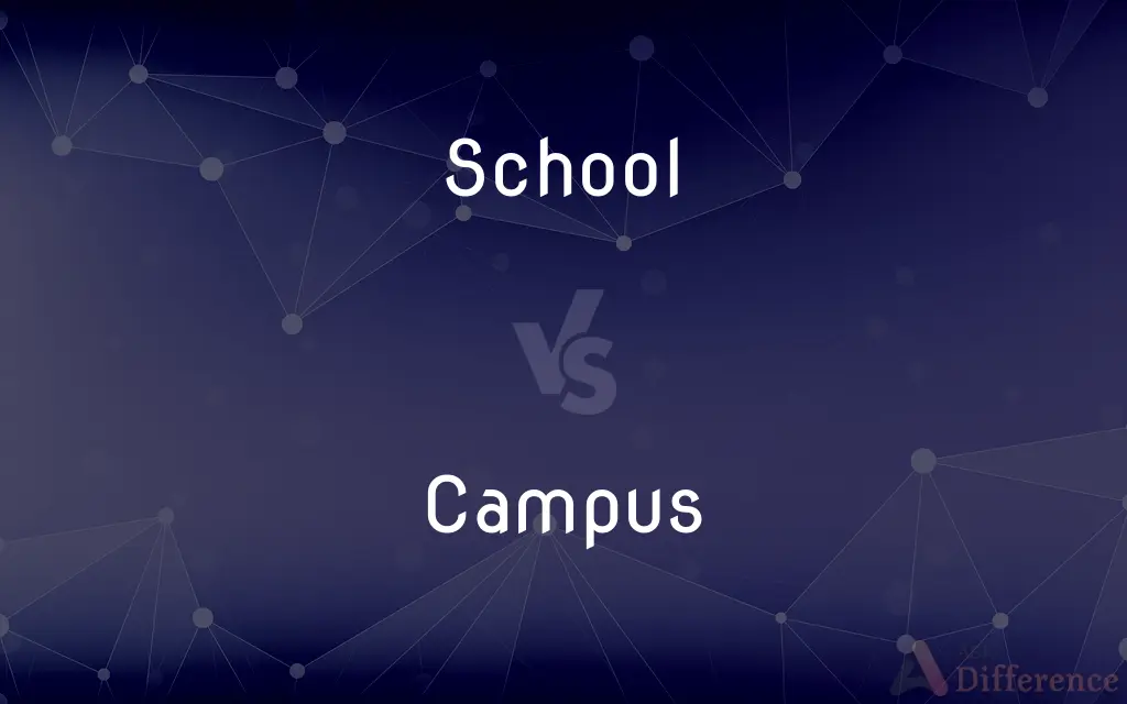 School vs. Campus — What's the Difference?