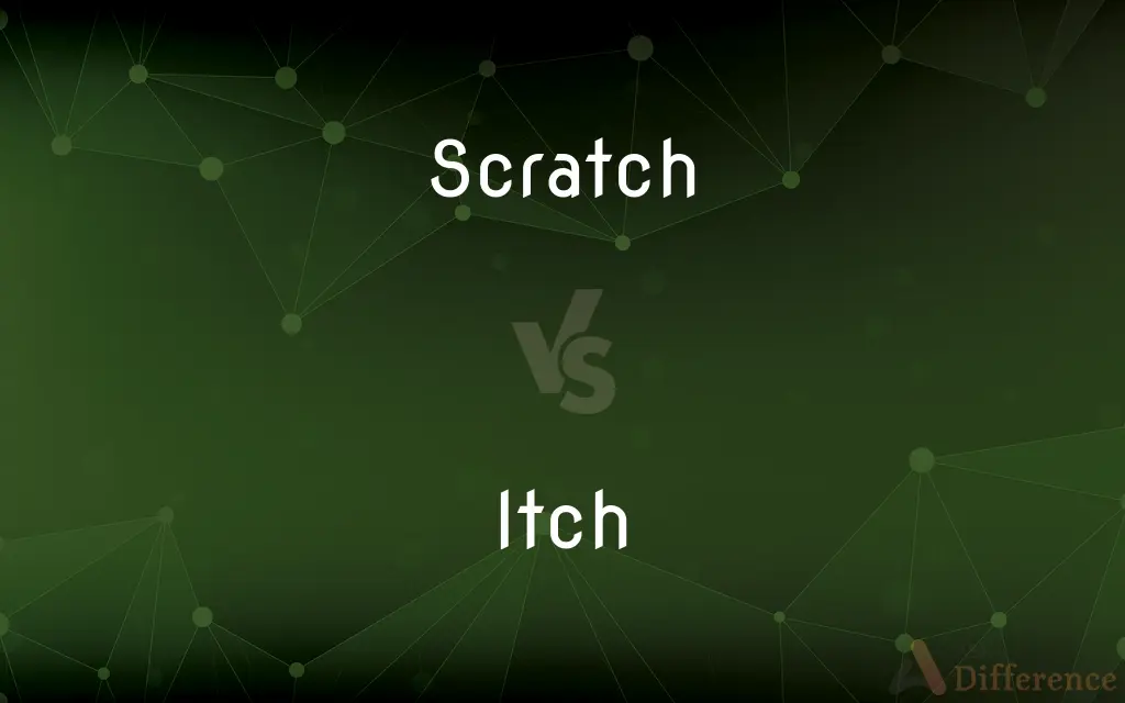 Scratch vs. Itch — What's the Difference?