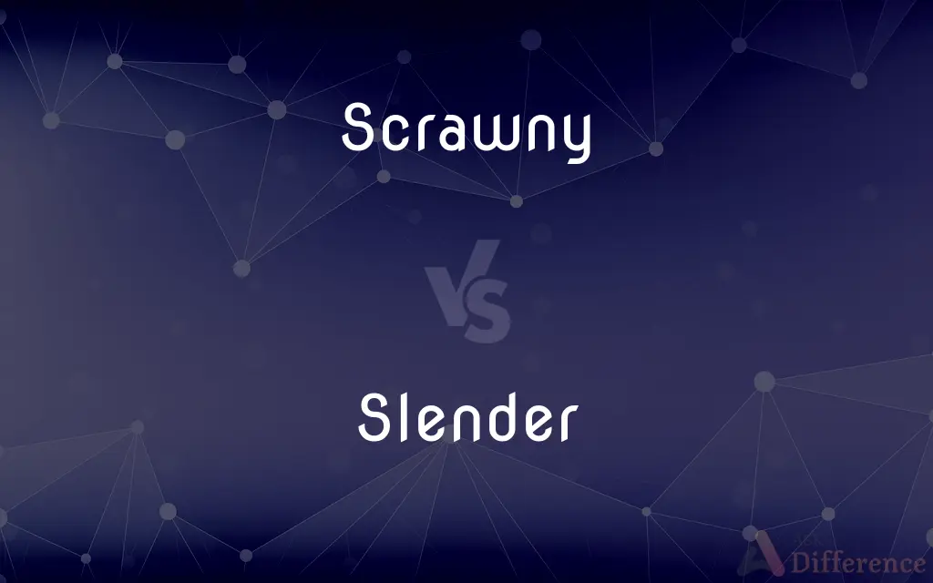 Scrawny vs. Slender — What's the Difference?