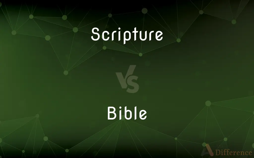 Scripture vs. Bible — What's the Difference?