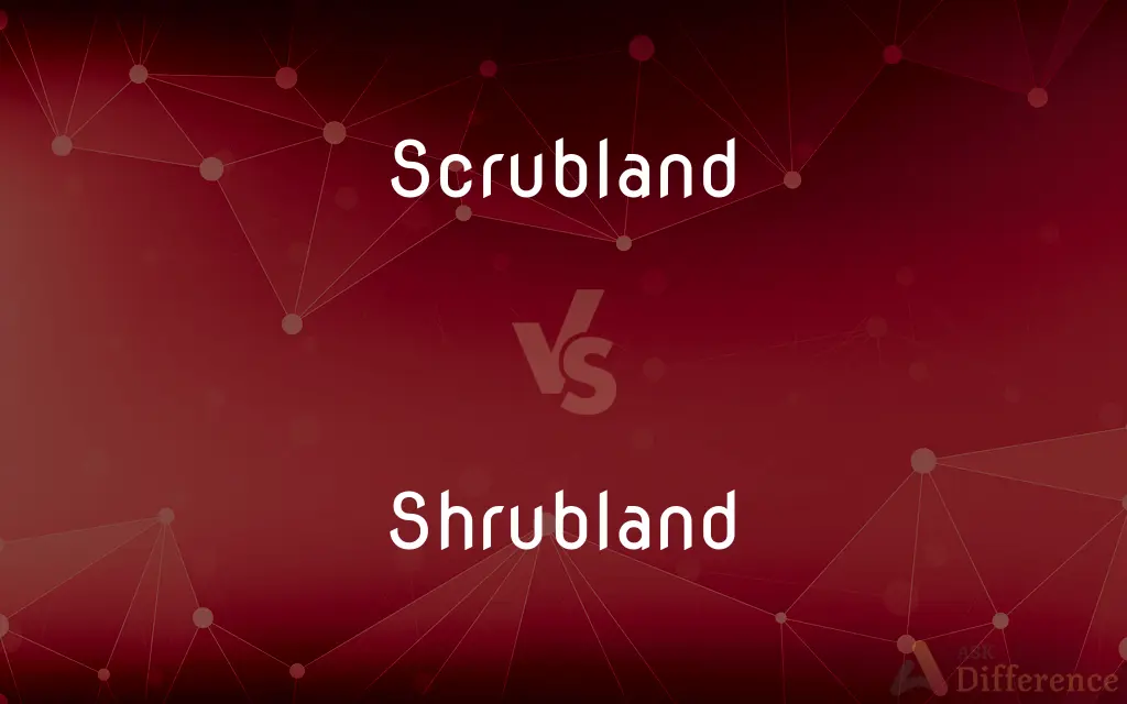 Scrubland vs. Shrubland — What's the Difference?