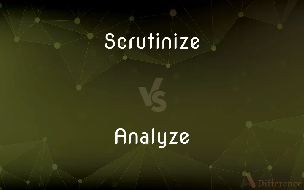 Scrutinize vs. Analyze — What's the Difference?