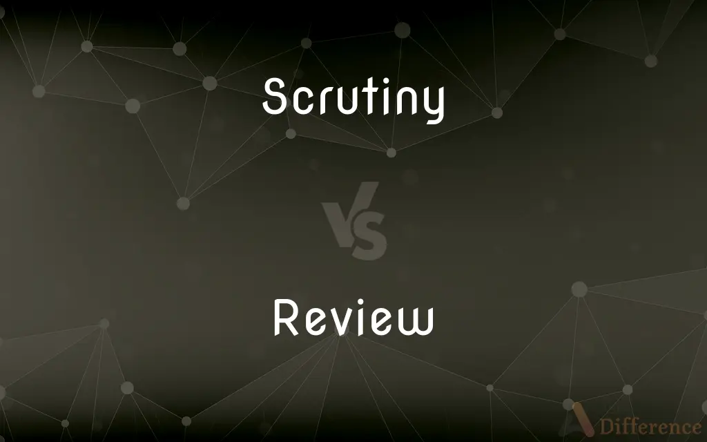Scrutiny vs. Review — What's the Difference?