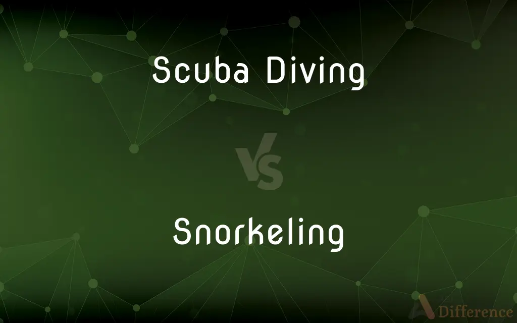 Scuba Diving vs. Snorkeling — What's the Difference?