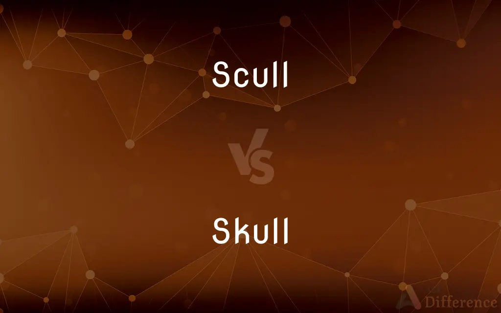 Scull vs. Skull — What's the Difference?