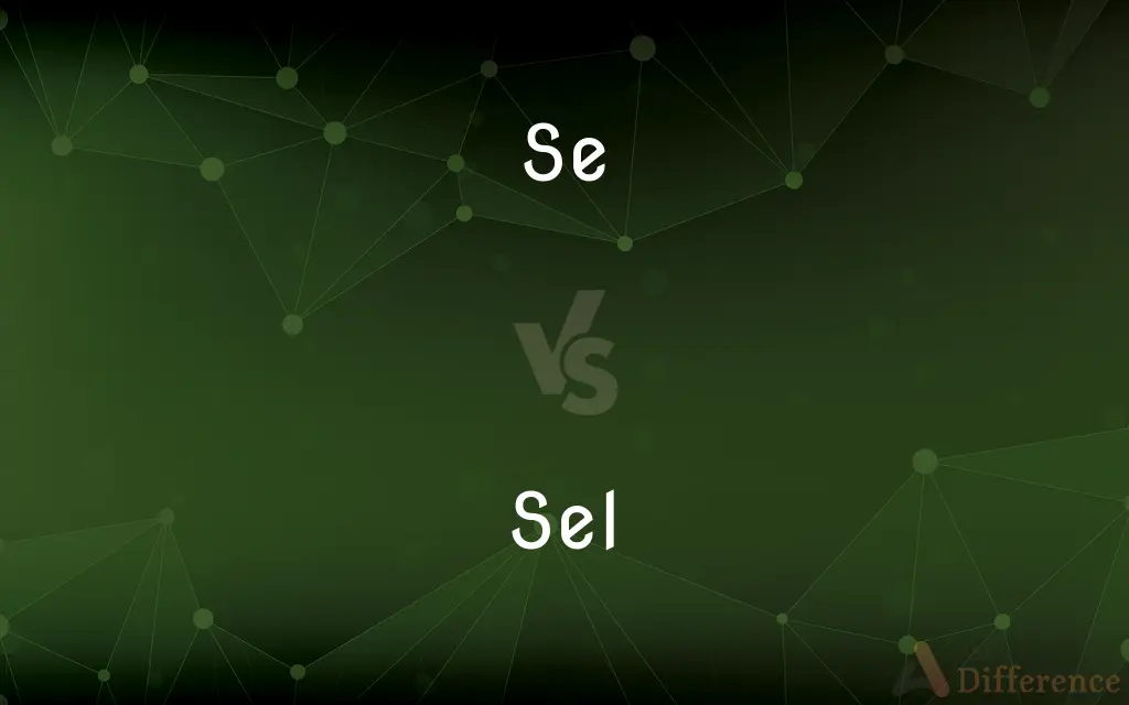 Se vs. Sel — What's the Difference?
