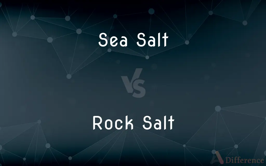 Sea Salt vs. Rock Salt — What's the Difference?