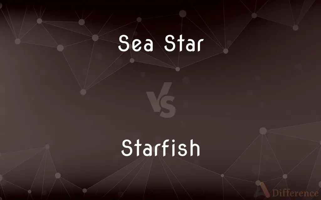 Sea Star vs. Starfish — What's the Difference?