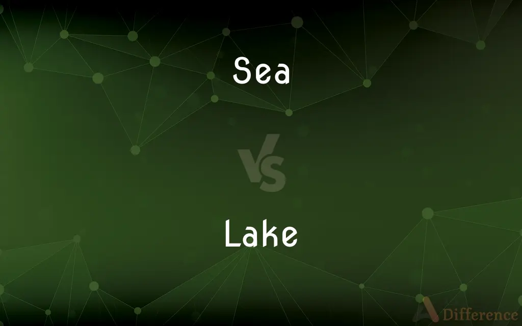Sea vs. Lake — What's the Difference?
