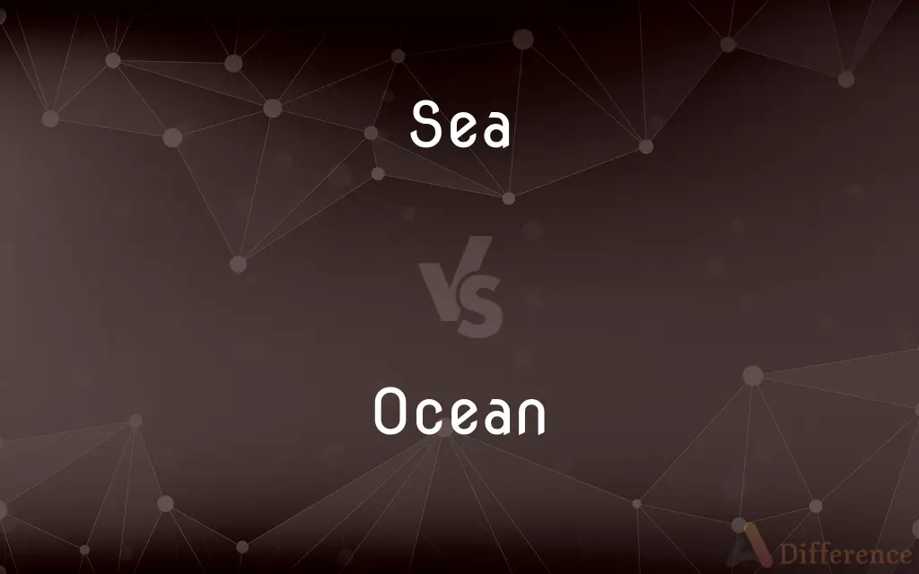 Sea vs. Ocean — What's the Difference?