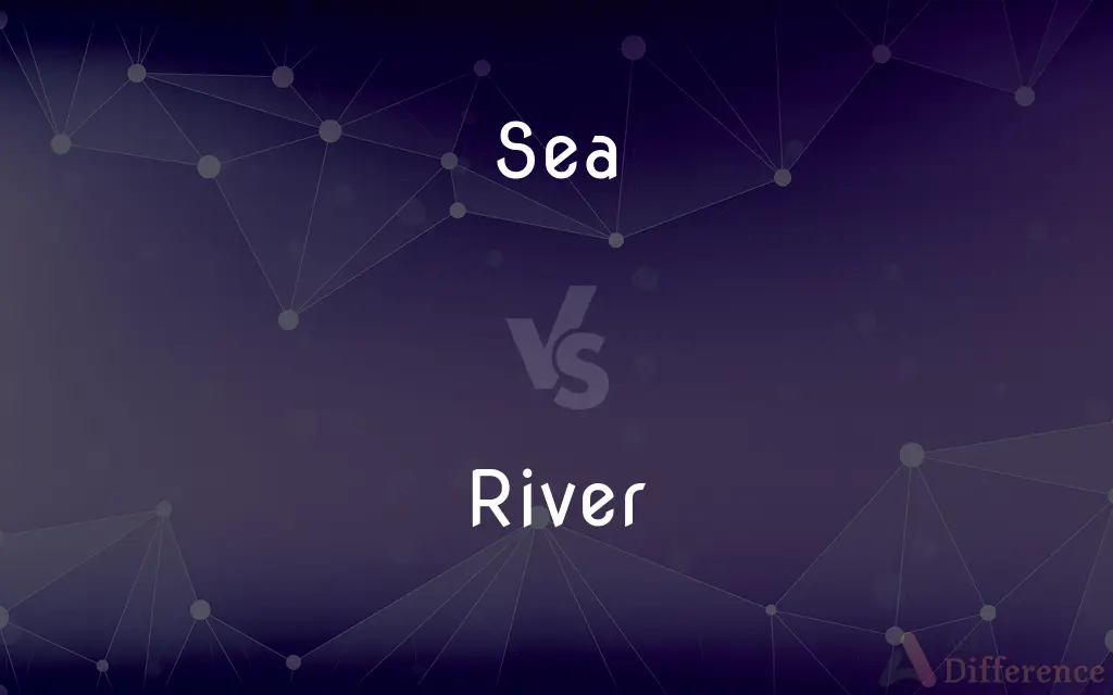 Sea vs. River — What's the Difference?