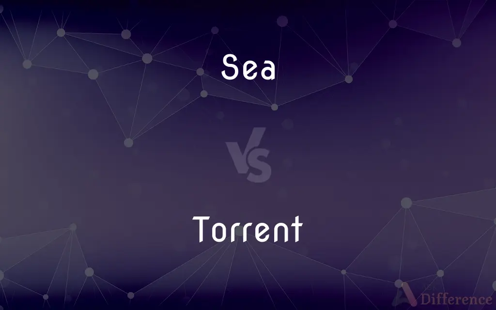 Sea vs. Torrent — What's the Difference?