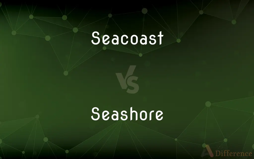 Seacoast vs. Seashore — What's the Difference?