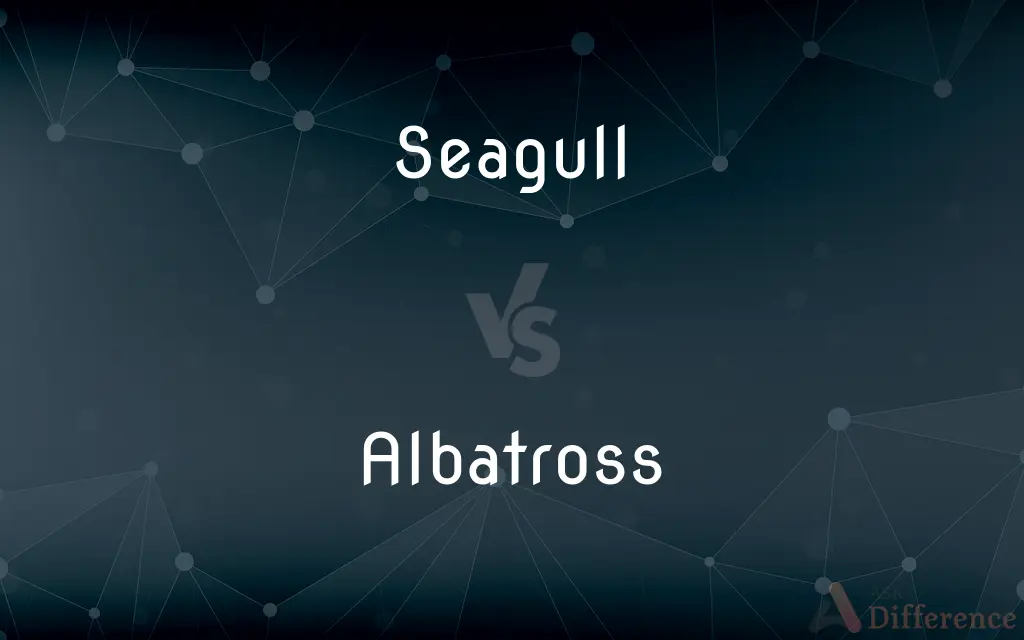 Seagull vs. Albatross — What's the Difference?