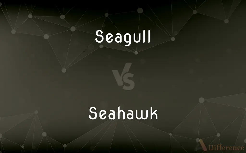 Seagull vs. Seahawk — What's the Difference?